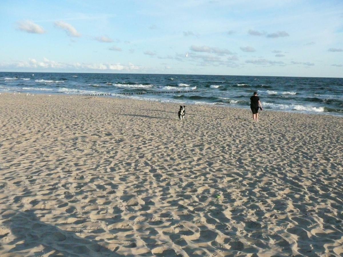 Apartament Gardenia Mare Baltic Dziwnów Zewnętrze zdjęcie